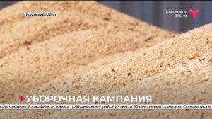 Уборочная кампания | Ишимский район