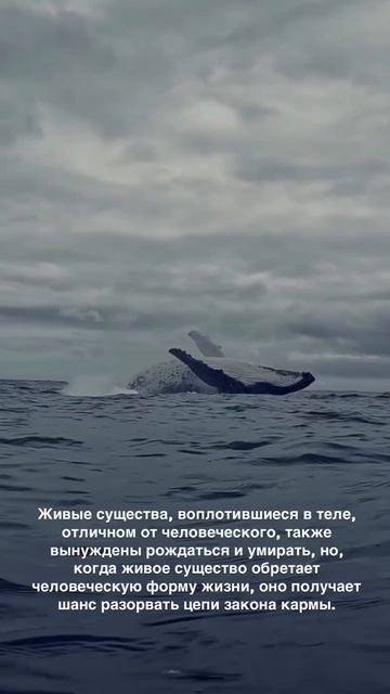 Цитаты о духовной жизни 💫