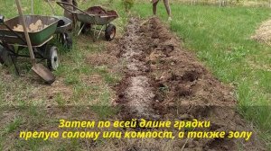 Универсальная тёплая грядка на целине!!!