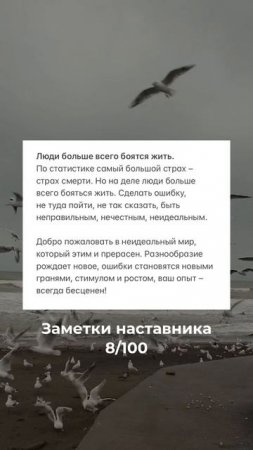 Заметки наставника 8/100