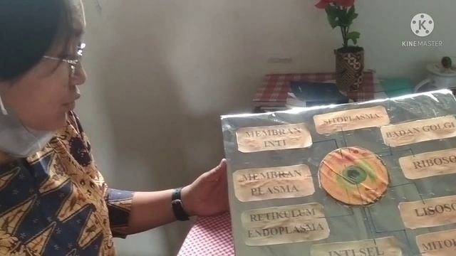 Output Kegiatan Aktualisasi 4, Model Sel dari Kaset VCD bekas смотреть онлайн