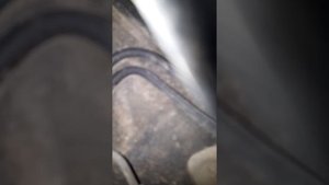 Писк под капотом. Зажигание включено. Нажатие на газ