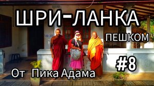 Путешествие по Шри-Ланке: чайные плантации, горы, водопады и ночевки в храмах.