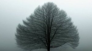 "Задроченное сердце" Паэт.-