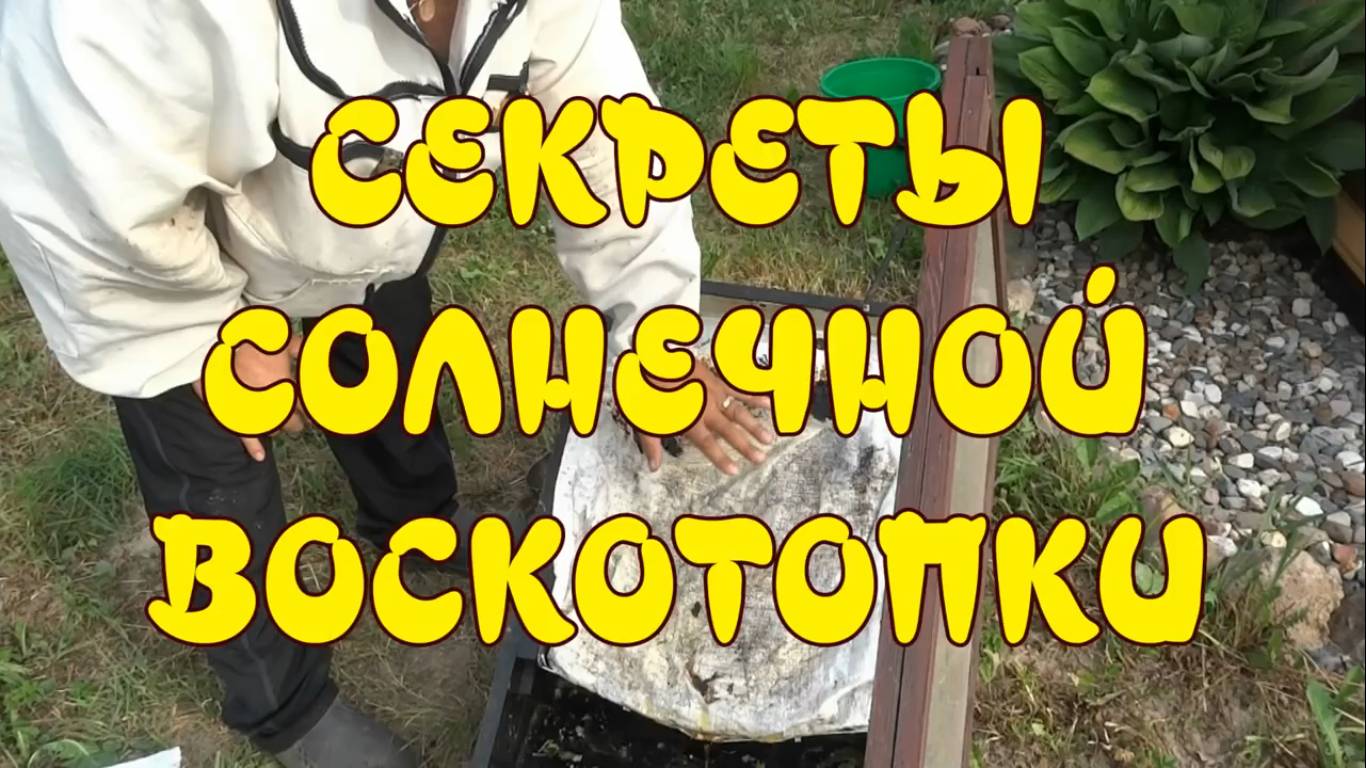 СЕКРЕТЫ СОЛНЕЧНОЙ ВОСКОТОПКИ. ТОПИМ ВОСК БЕЗ МУСОРА смотреть онлайн