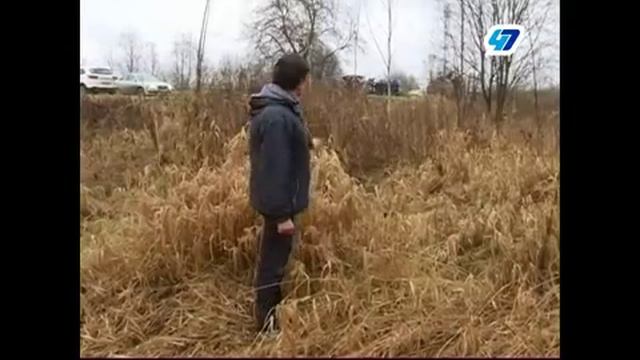 47 канал. Липки.