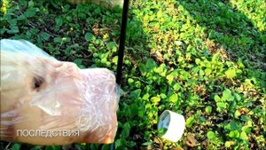 Тест охотничьих наконечников для лука и арбалета www.archery161.ru