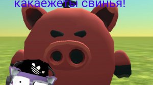 🐷Какаеже ты свинья🐷