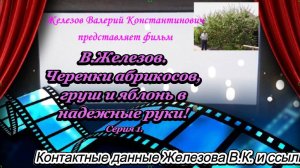 В.Железов. Черенки абрикосов, груш и яблонь в надежные руки! Серия 1.