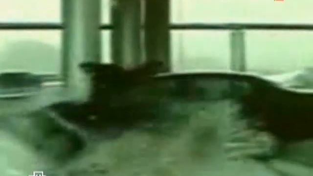 Хорошая реакция! смотреть онлайн