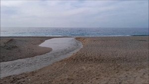 Новости с пляжа Любимовка. Выпуск 14.03.2025г.