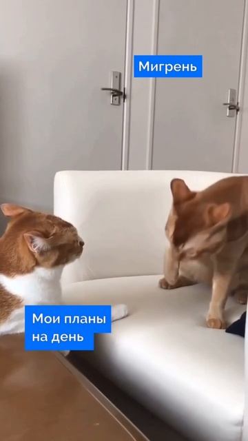 Как ощущается мигрень