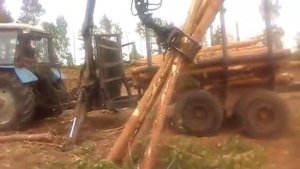 Работа лесовозного прицепа с манипулятором