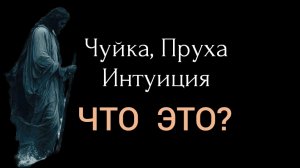 Пруха, Чуйка, Интуиция??? | Это Бог говорит в тебя | ИгорьКОСТРОВОЙ