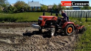 Окучиваем картофель минитрактором Шифенг СФ-240 междурядным культиватором