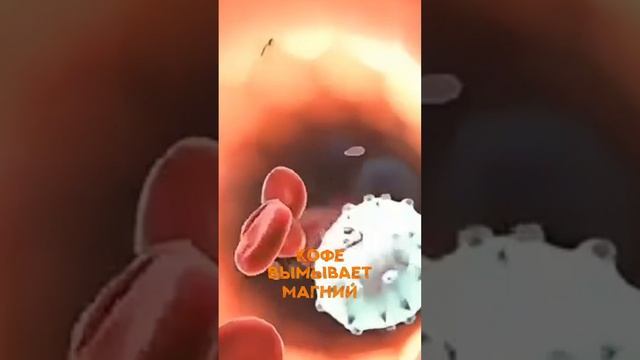 вредный напиток который мешает худеть #спорт #рецепт #зож #похудение #шортс #нутрициолог #потерявес