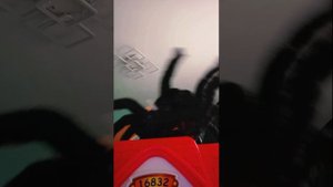 1000000301.mp4