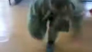 одноногий.mp4