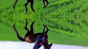 видеосопровождение Казачий танец  (Ой, при лужке, при лужке...)