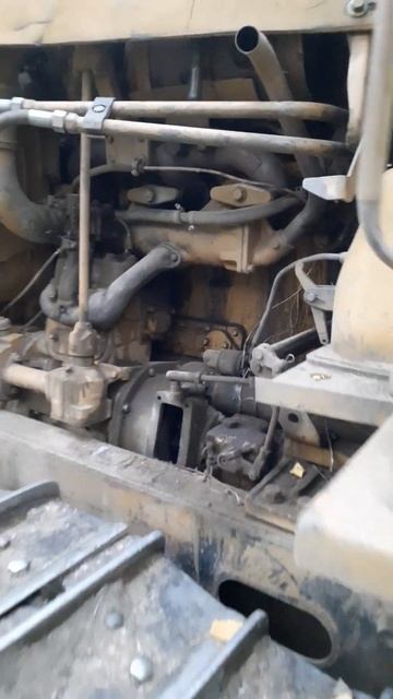 Бульдозер Т-170 сделал просеки в лесу на Среднем Урале 28.08.2022 Вс смотреть онлайн