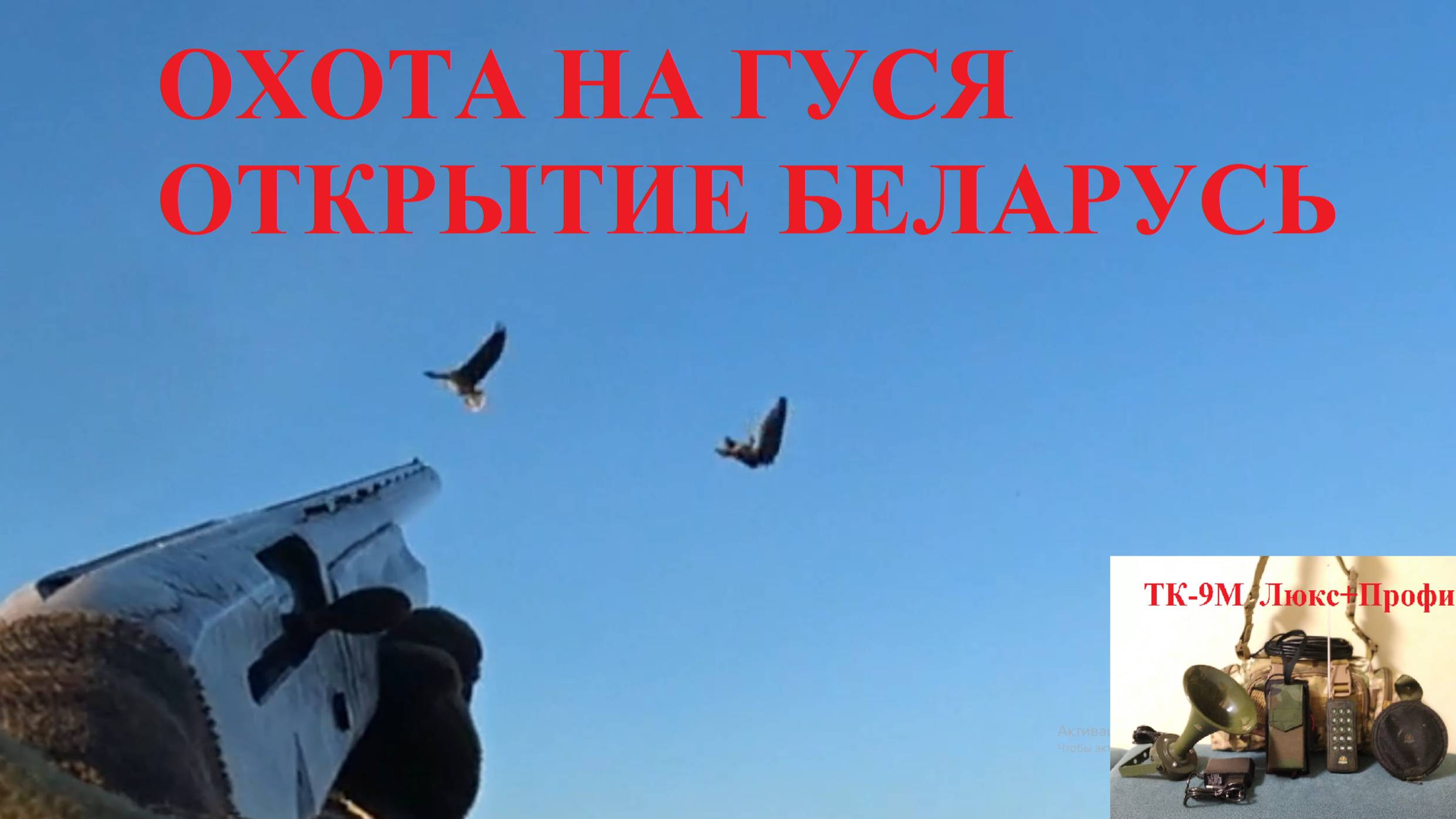 Охота на гуся ОТКРЫТИЕ 2025 Беларусь