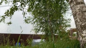 маленькое Приключение кошки Буси часть вторая