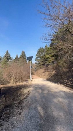 За сколько дней в Кисловодске распустятся листочки?