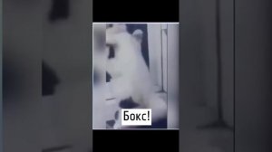 подпишитесь ведь я стараюсь для вас!