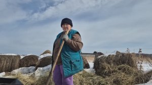 Дорогие мои подписчики помогли/ пикировка/ нашла ее