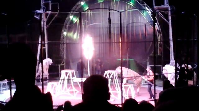 Цирк демидовых смотреть онлайн