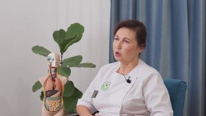 Пиявки польза, лечение | гирудотерапия