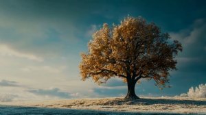 SVETIGMA - Обнять крепко. Поговорить просто.