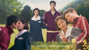 🌸Когда жизнь преподносит мандарины🌸 Обзор дорамы🌸2025🌸Ты хорошо поработала🌸