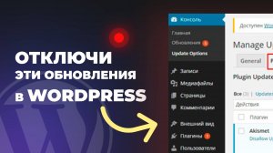 Отключаем оповещения об обновлении плагинов и тем на WordPress 2025