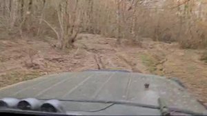 Лесные покатушки