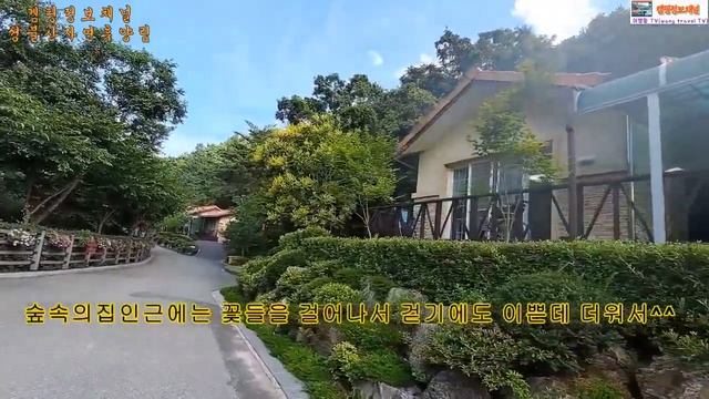 #차박캠핑/성불산 자연 휴양림/생태공원/생태식물원/수석전시관/생태연못/숲속캠핑장/가족,친구,연인이 함께하루있는 힐링의메카#차박캠핑#캠핑장안내
