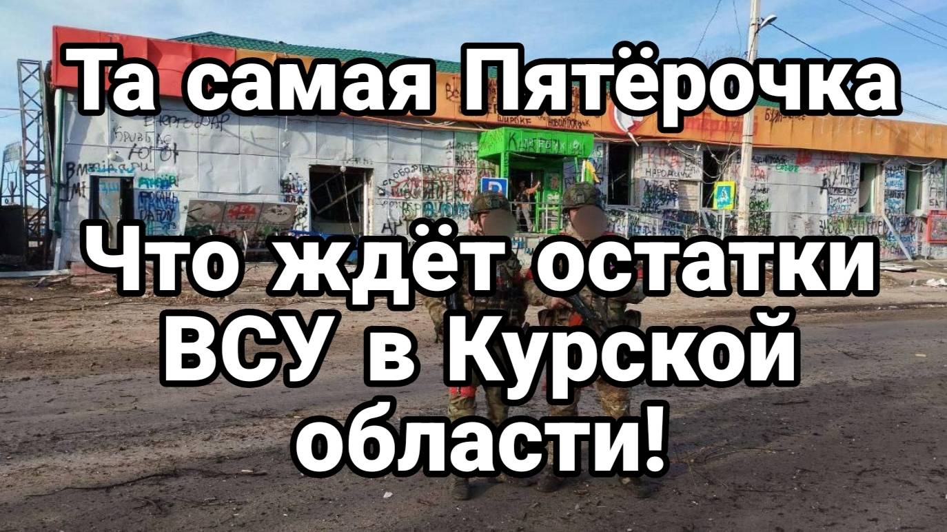 МРИЯ⚡️ ТАМИР ШЕЙХ / ЧТО ЖДЕТ ОСТАТКИ ВСУ В КУРСКОЙ ОБЛАСТИ? Новости Сводки с фронта