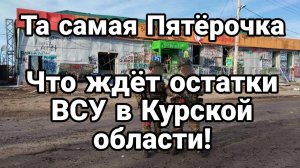 МРИЯ⚡️ ТАМИР ШЕЙХ / ЧТО ЖДЕТ ОСТАТКИ ВСУ В КУРСКОЙ ОБЛАСТИ? Новости Сводки с фронта