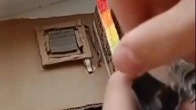 шок слили новыю сборку