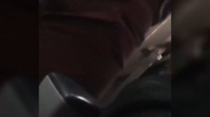 Сын Никаса Сафронова застрял в туалете на борту самолёта