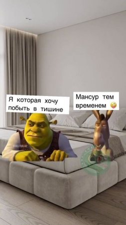 9 декабря 2024 г.