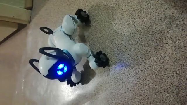 Собака робот смотреть онлайн