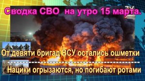 Сводка СВО  на утро 15 марта. В Харькове каждую ночь взрывают военные заводы