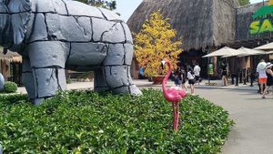 Вин Перл Сафари парк Фукуок 2 часть