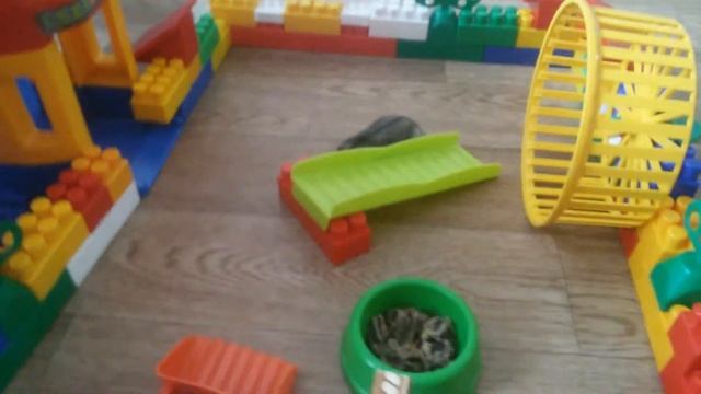 Хомколенд. часть первая.Тома-Том? смотреть онлайн