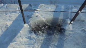 Уборка крыш и территорий МКД от снега