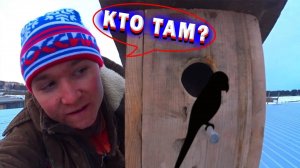 Как сделать СКВОРЕЧНИК своими руками / Как сделать СКВОРЕЧНИК в Домашних Условиях