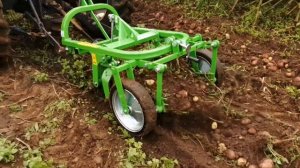 Izkopalnik krompirja Bomet Ursa Z655/1