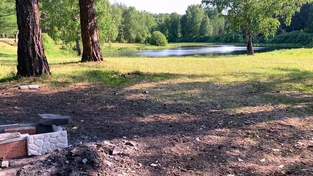 Лесное Путешествие часть 1: Forest Trip Part 1