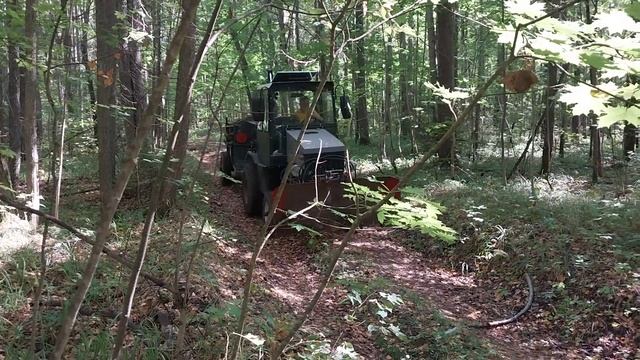 8 сентября 2023 г. смотреть онлайн